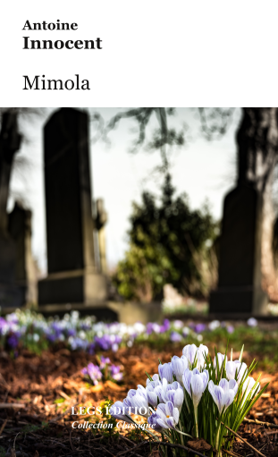 Article : Get Ready to Bet Big on Your Luck at Bet On Red Casino Roulette